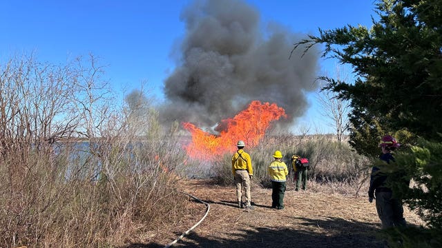 Smoke near Lake Walter E. Long due to prescribed fire: AFD