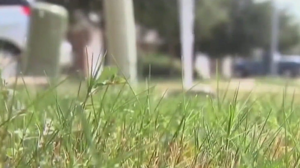 Water crisis in Hays County is severe, judge says