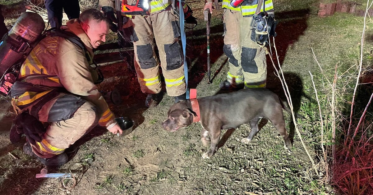 Dog rescued from house fire in southeast Austin: AFD | FOX 7 Austin