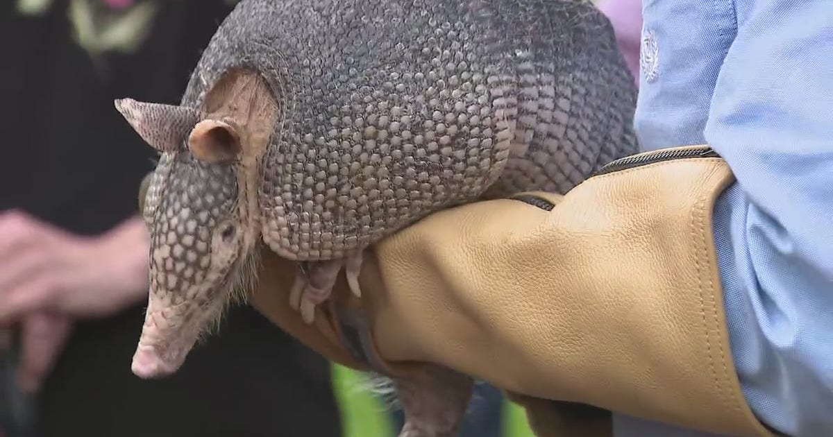 Move over, Phil: Texas Groundhog Day traditions that are bigger and better