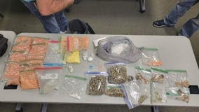 Almost 13 pounds of narcotics seized in Rockdale: Milam County SO