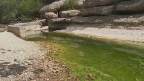 Groups sue utility company for contributing to low flow at Jacob's Well