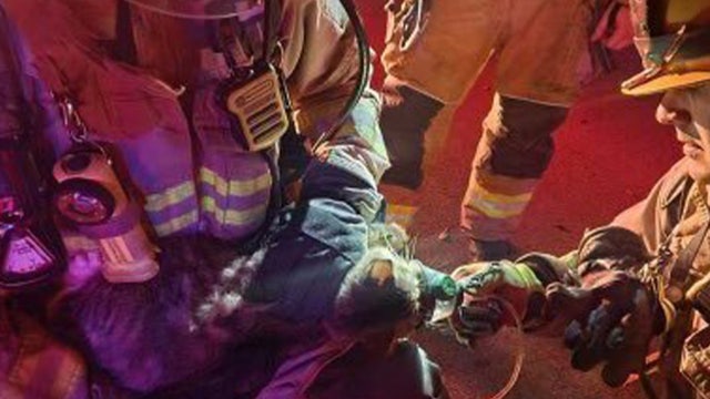 5 cats rescued from overnight fire in Northeast Austin