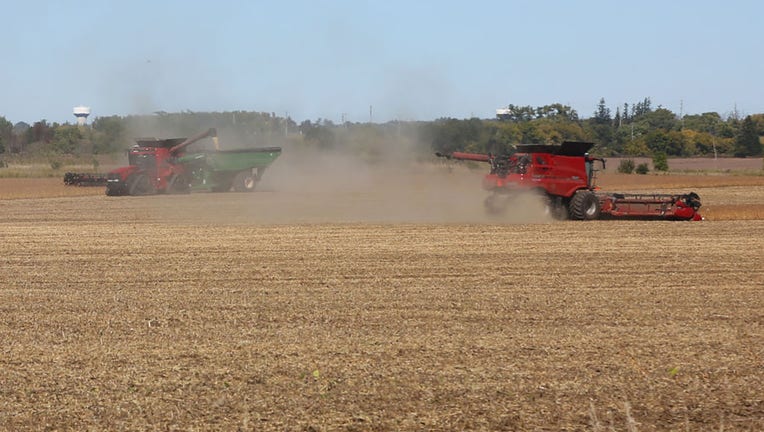 FILE - Harvesting grain at a farm in Ontario, Canada, on Sept. 30, 2022. (Photo by Creative Touch Imaging Ltd./NurPhoto via Getty Images)