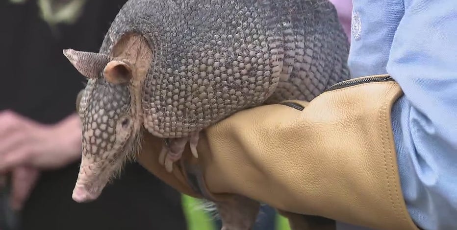 Texas weather prediction from Bee Cave Bob