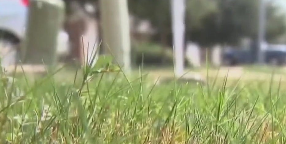 Water crisis in Hays County is severe, judge says