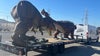 Dinosaurs pulled over by Kerrville police: "Things you don't see every day"