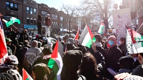 Israel-Hamas war: Protesters march around the world to call for ceasefire