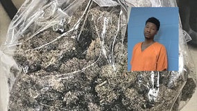 Traffic stop leads to discovery of large amount of marijuana: FCSO