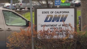 Special criteria for California seniors renewing driver's license
