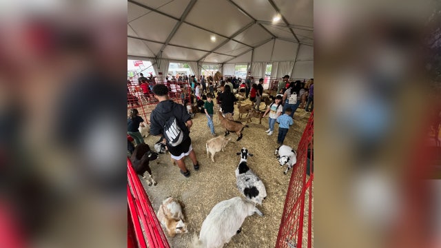 Saddle up! Rodeo Austin returns with big goals of raising money for Texas kids