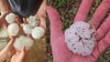 PHOTOS: Severe weather brings hail to Central Texas