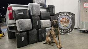 360 lbs of marijuana seized in New Braunfels with help from K-9: police