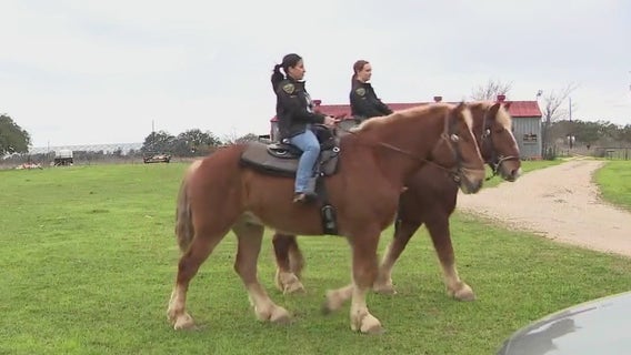 Mounted horse patrol coming to Texas State