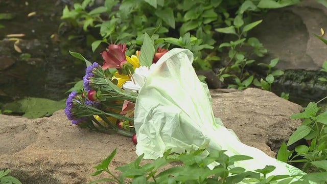 Memorial held after almost a dozen dogs found dead in south Austin creek