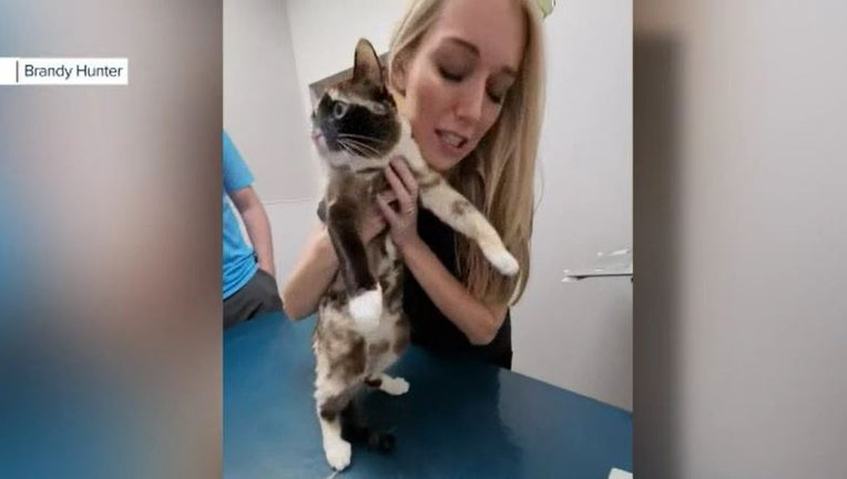 woman holding cat shipped in amazon box