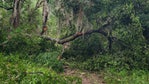 Some San Marcos natural areas closed due to storm damage