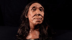 Reconstructed face of 75,000-year-old Neanderthal woman revealed