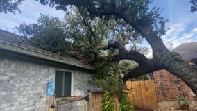 Texas weather: Downed tree pokes holes in roof of Austin home