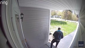 Video: 'Porch Pirate' disguised as delivery driver swipes package