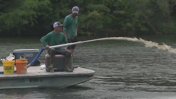 Crews begin treating Lady Bird Lake to reduce toxic algae