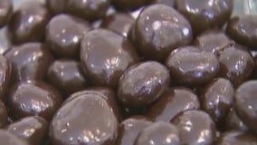 Eating extra dark chocolate has benefits for your heart: study