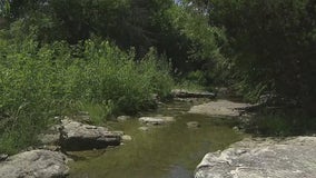 Shoal Creek Conservancy planning cleanup event to remove shopping carts from creek