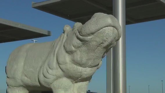 Back to School rally at Hutto ISD helps students prepare for first day