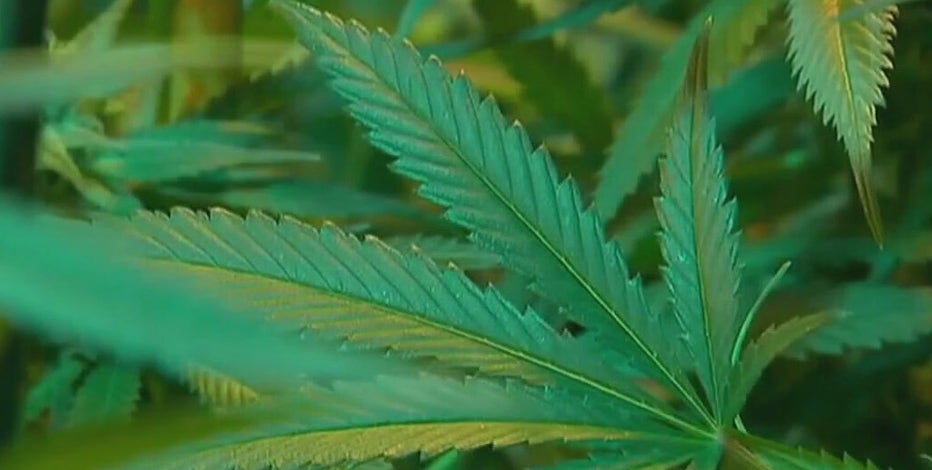 Texas Senate passes THC ban, bill now heads to Texas House