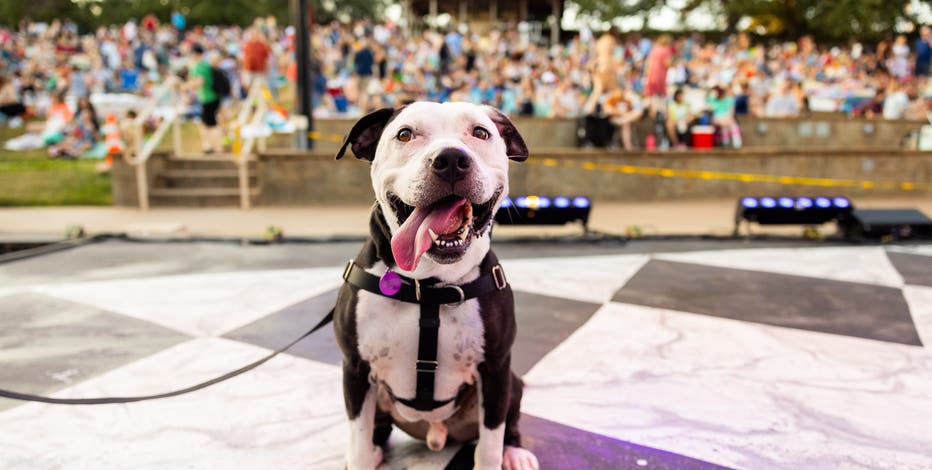 tajin-scaled.jpeg?ve=1&tl=1