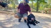 Texas veteran wants to educate others after being denied service due to guide dog