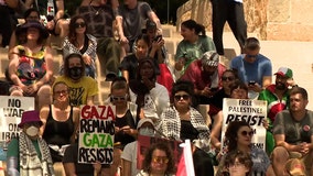 Pro-Palestine protestors disrupt traffic near City Hall