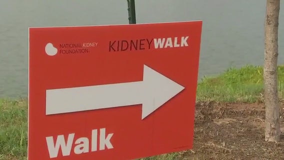 2024 Austin Kidney Walk takes place Oct. 27