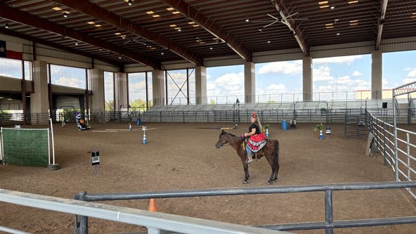 Dozens of rescue horses rehomed during event at Williamson County Expo Center