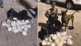 Nearly 67 kilos of narcotics off the streets in Bastrop County