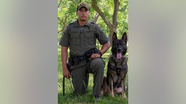Retired Williamson County Sheriff's Office K9 dies
