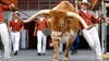 Texas' Bevo will not travel to Atlanta for SEC Championship game