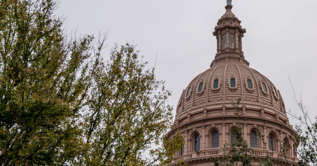 Texas rep calls for public hearing on alleged state cover-up of ICE shooting