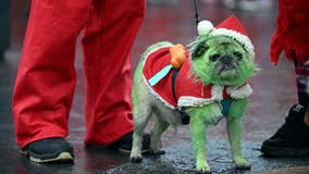 Yappy Y'allidays dog costume contest: How to enter your pup