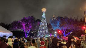 FOX 7 Austin helps light up the Capitol's Christmas tree