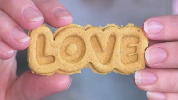 Los Angeles wildfires: Austin woman donates proceeds to Pasadena Humane Society