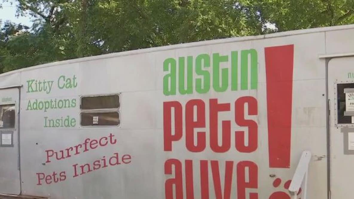 Local animal shelter rescues 17 pets from South Texas floodwaters