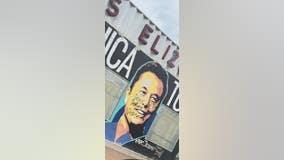 Texas Elon Musk mural defaced: 'Deny, Defend, Depose'