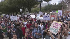 Austin anti-Trump protest: Hundreds gather at Capitol