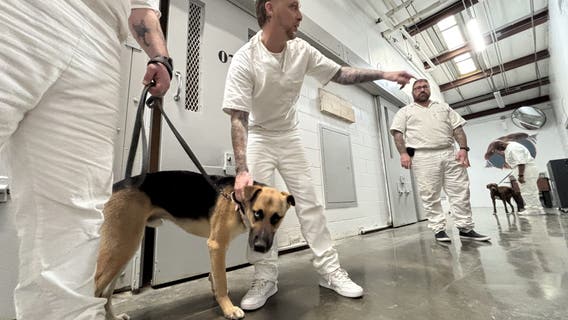 WilCo animal shelter launches unique foster program with Bartlett prison