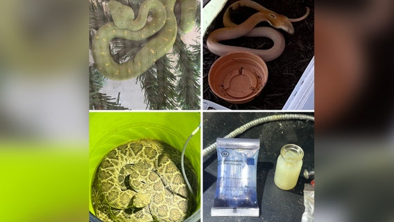 Multiple snakes, drugs found in apartment near Milam County middle school: TPWD