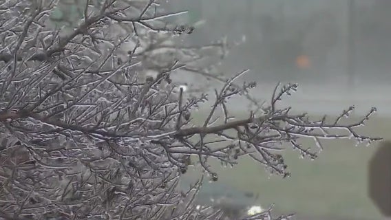 Austin weather: City prepares for upcoming arctic blast