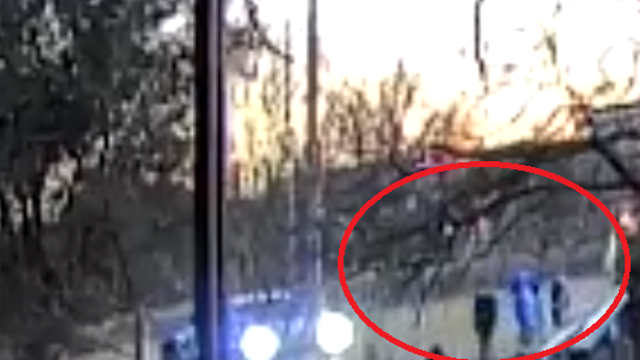 1 critically injured in East Austin park shooting: APD