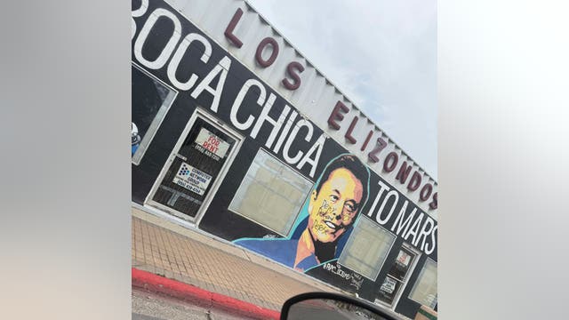 Texas Elon Musk mural defaced: 'Deny, Defend, Depose'