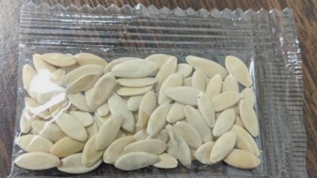 Mystery seed packets: Texas resident's address fraudulently used as return address on packages